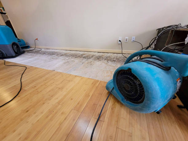 Professional Water Damage Repair technician working in Kansas, OK